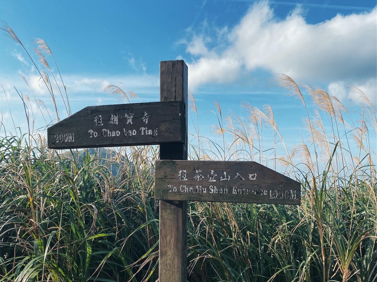 茶壺山步道