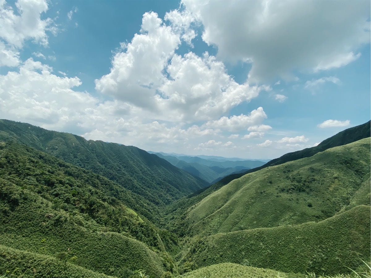 抹茶山