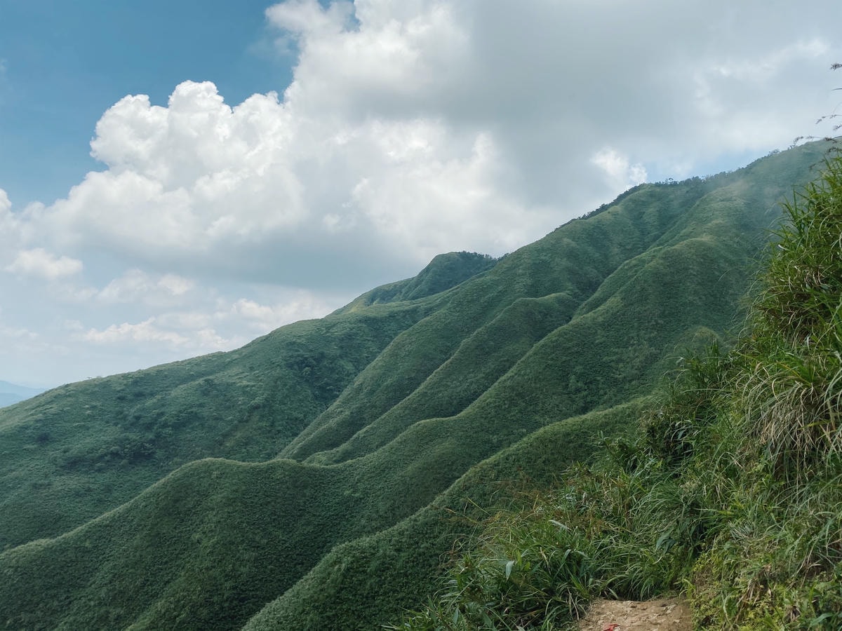 抹茶山