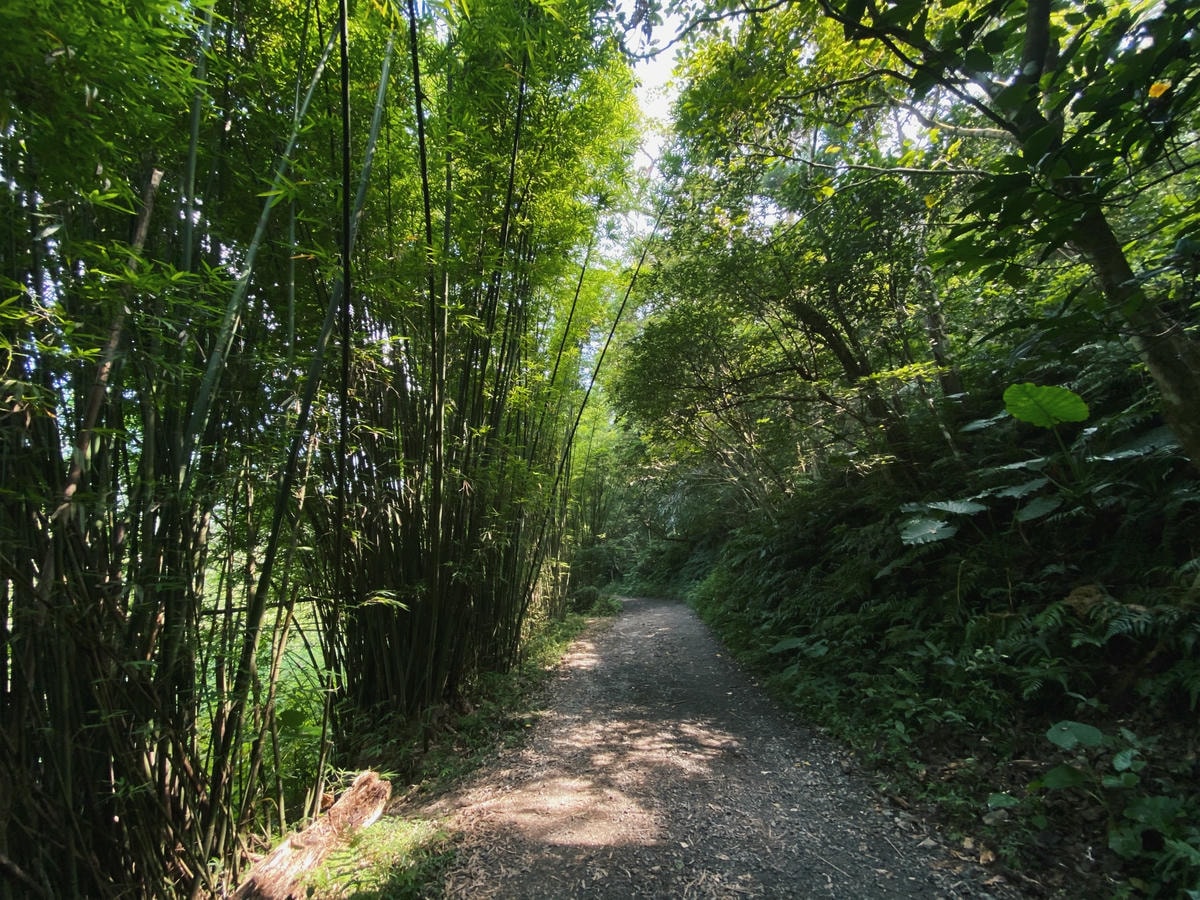 抹茶山