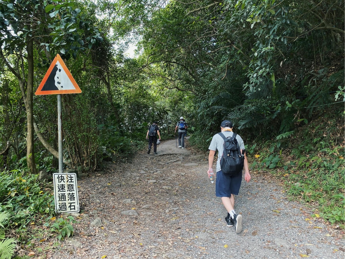 抹茶山