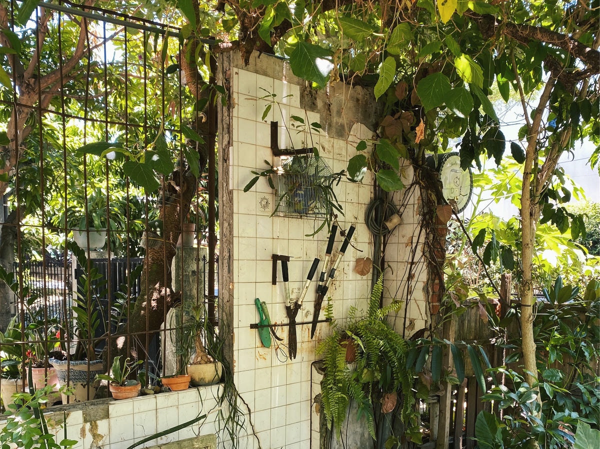 Cheela小屋
