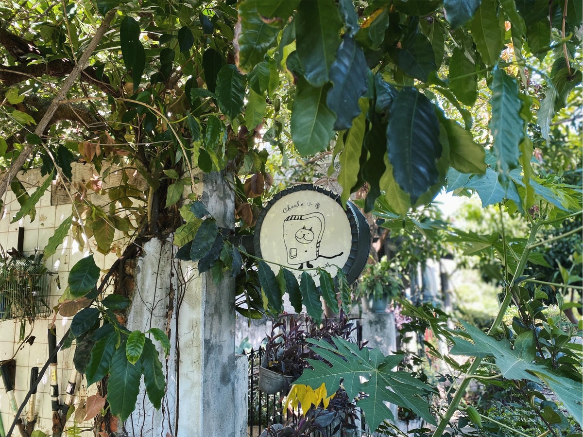Cheela小屋