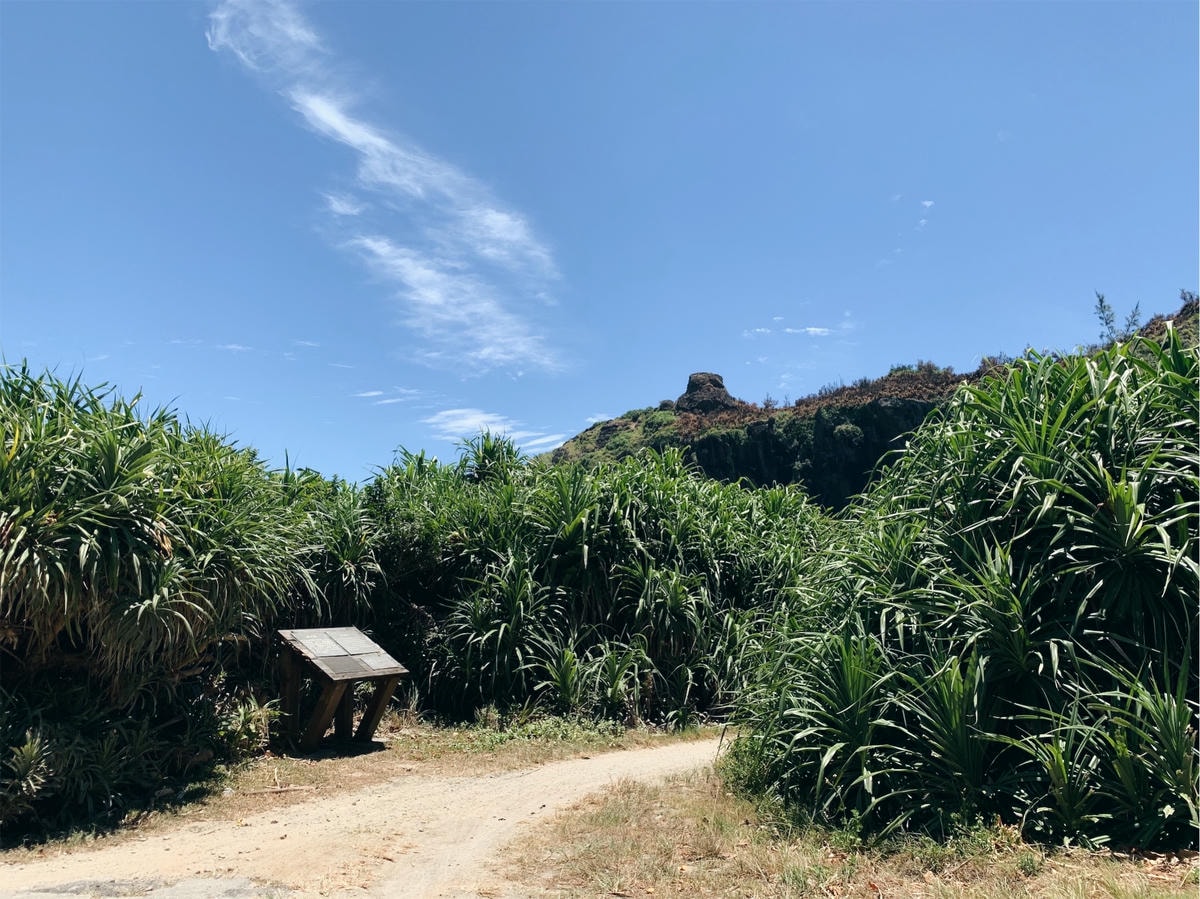 綠島藍洞