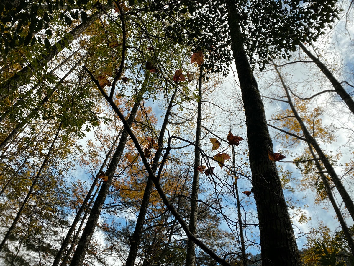 霞喀羅古道