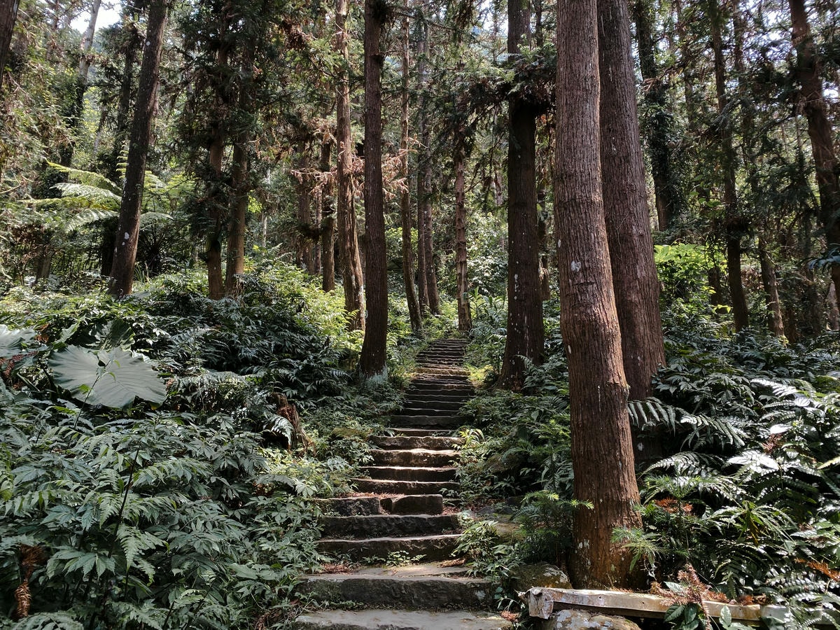 仙山