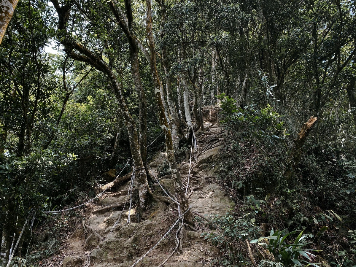 仙山