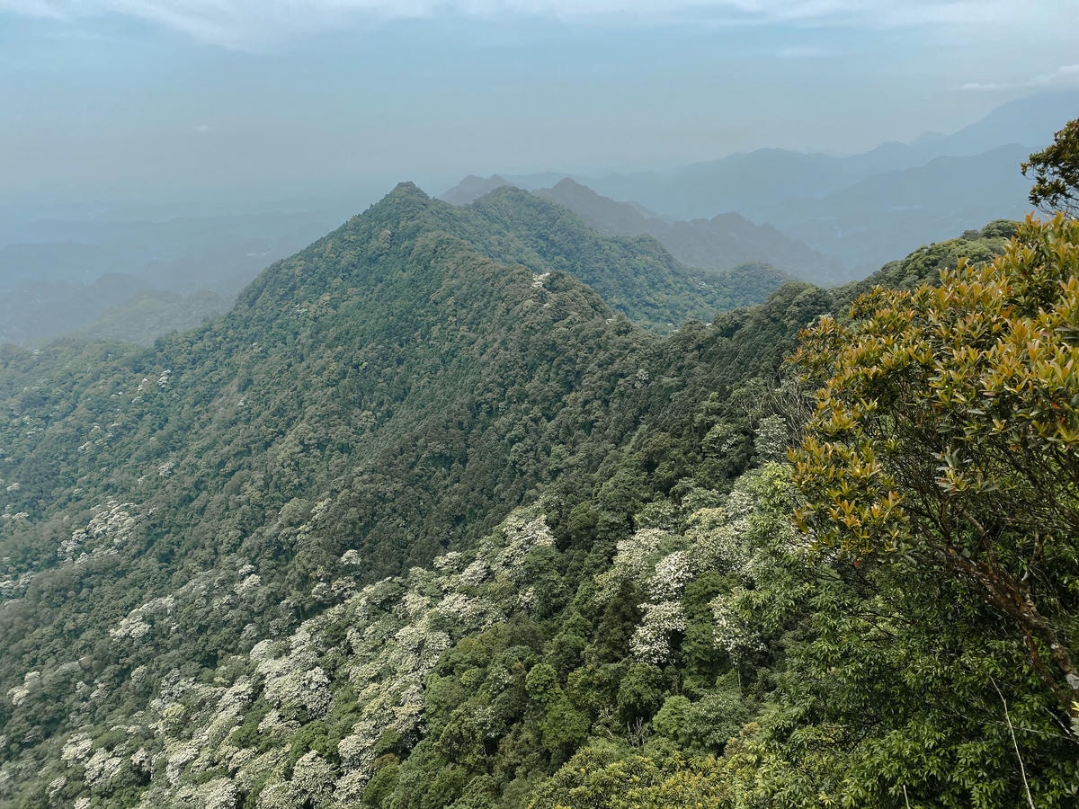 仙山