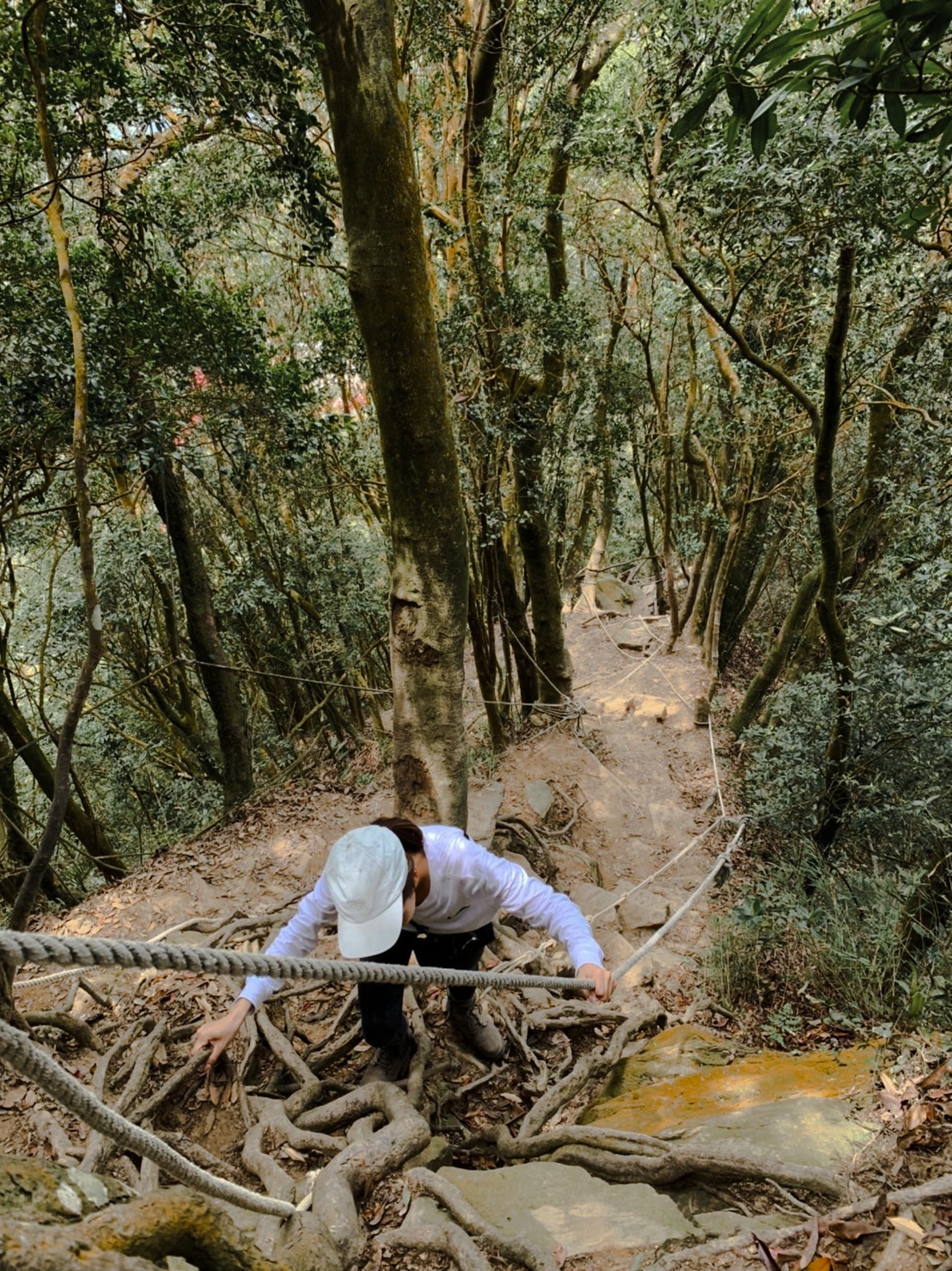 仙山