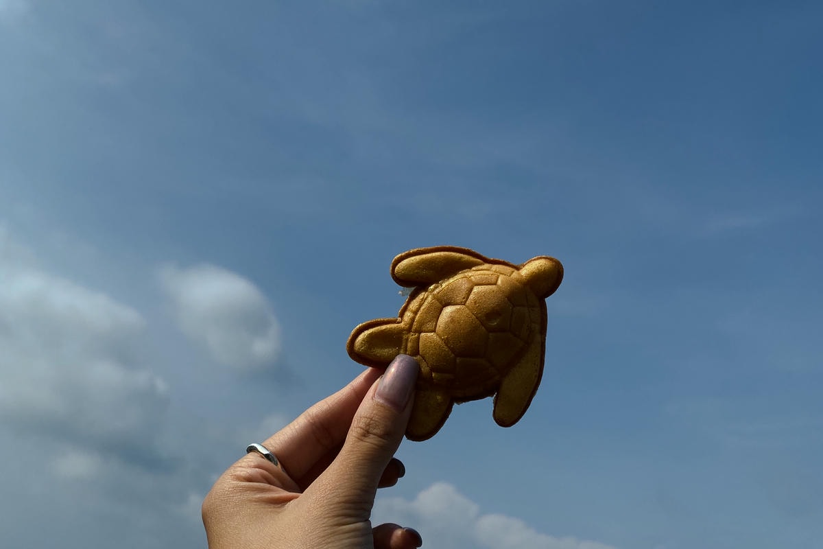 小琉球懶人包