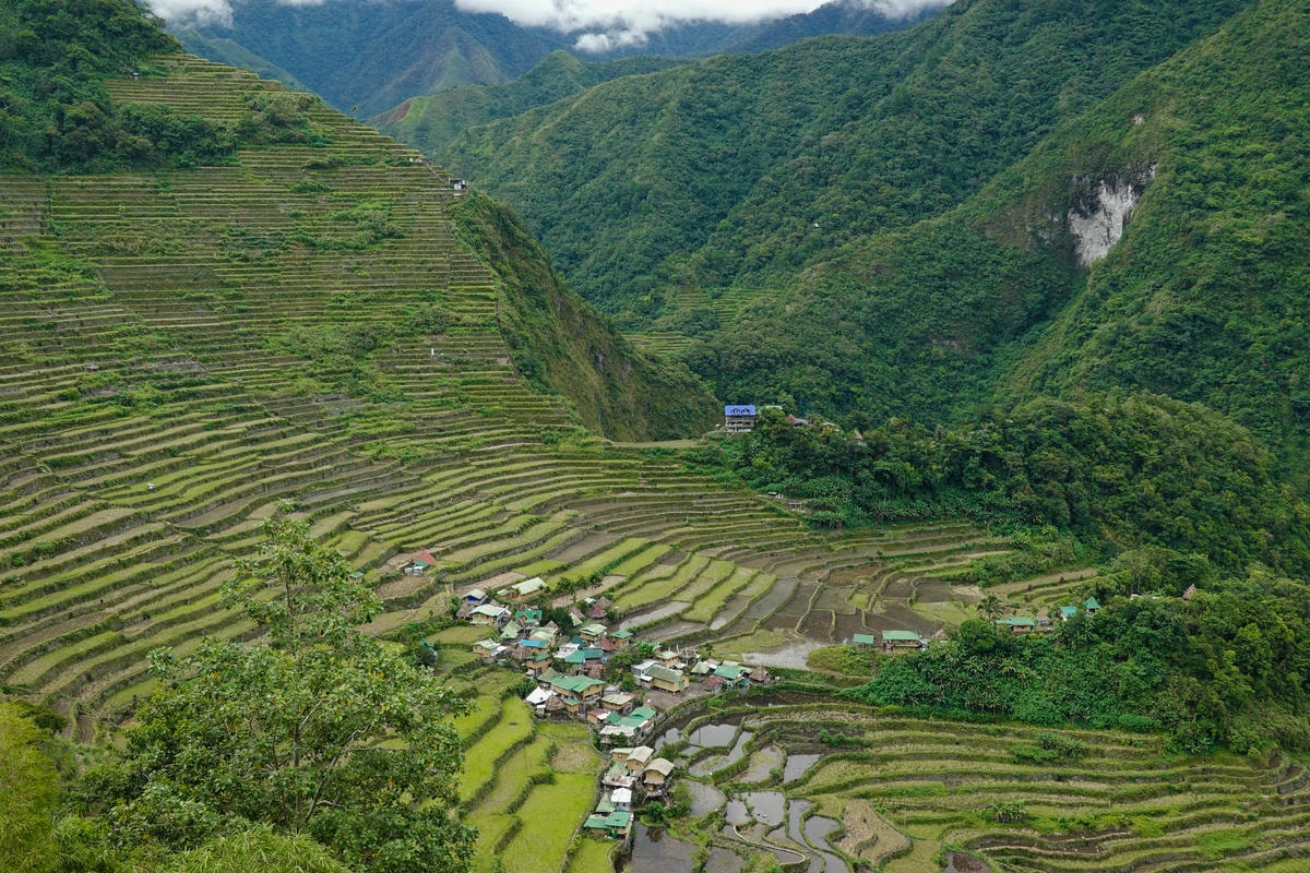 巴拿威梯田