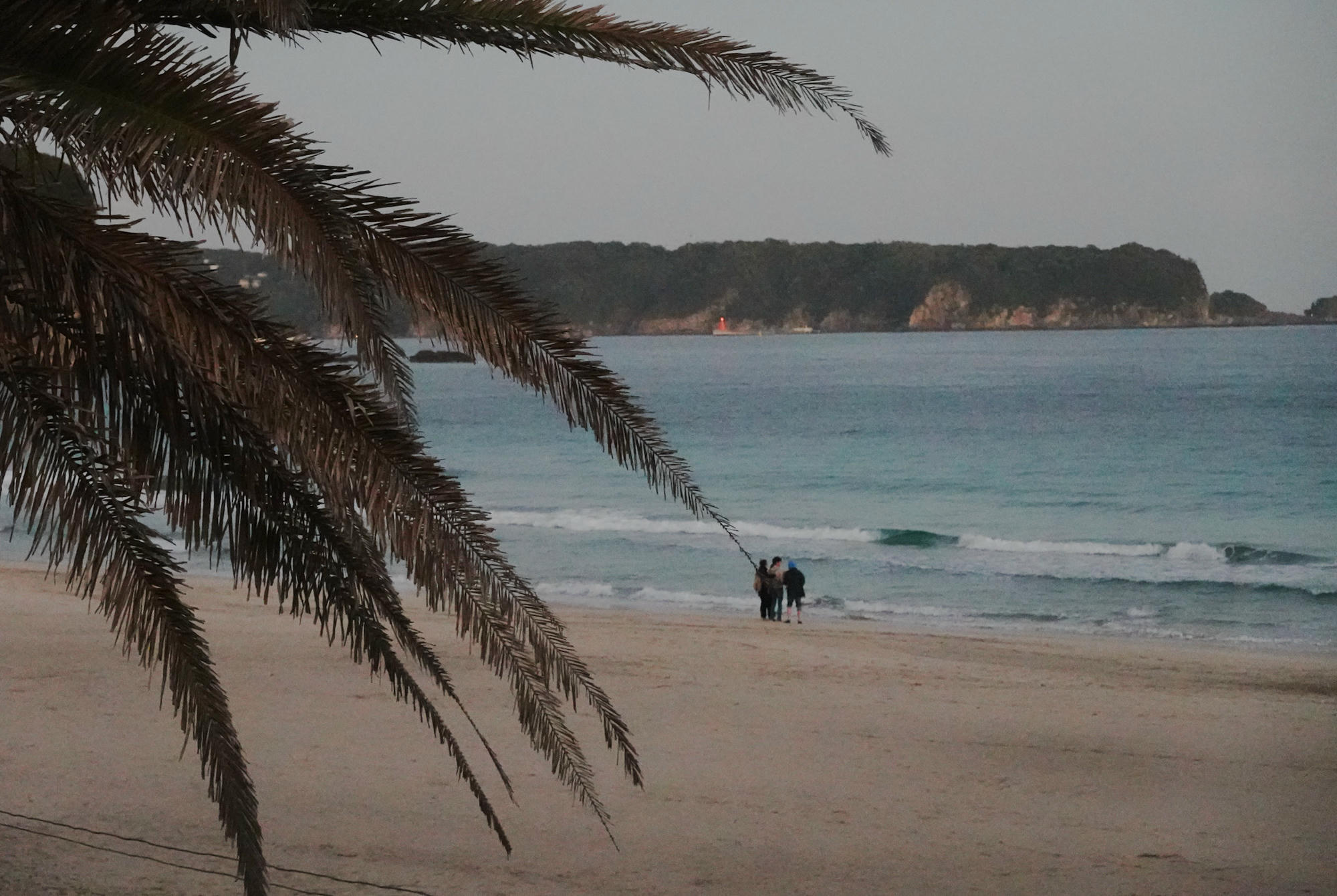 日本下田懶人包｜關於我住了一個月的海濱城市