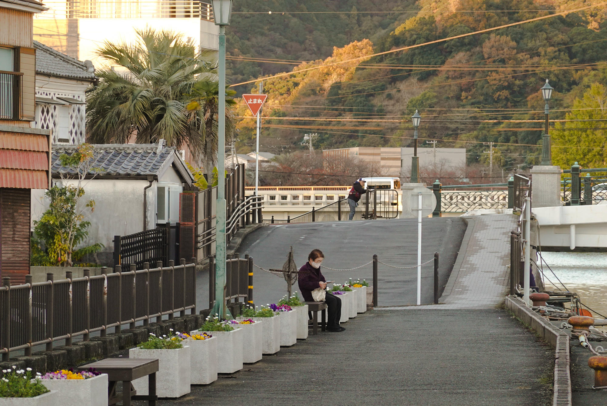 日本下田懶人包｜關於我住了一個月的海濱城市