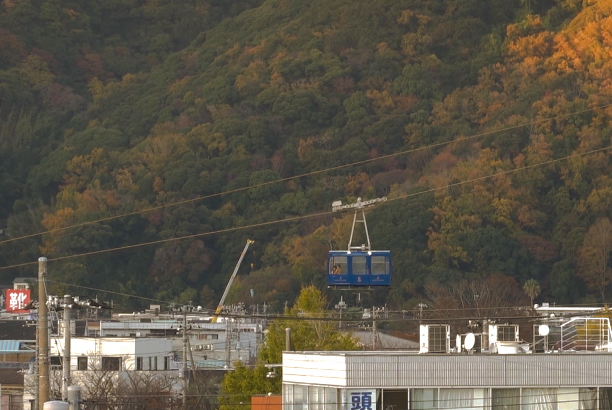 日本下田懶人包｜關於我住了一個月的海濱城市
